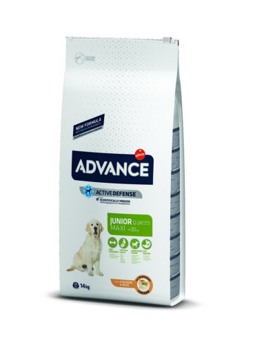 Advance Dog Maxı Junıor 14 Kg - ADVANCE -