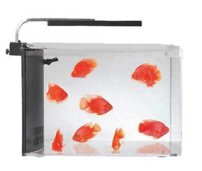 Aquasyncro Clarity Nano Akvaryum 36x24x25 - RESUN -