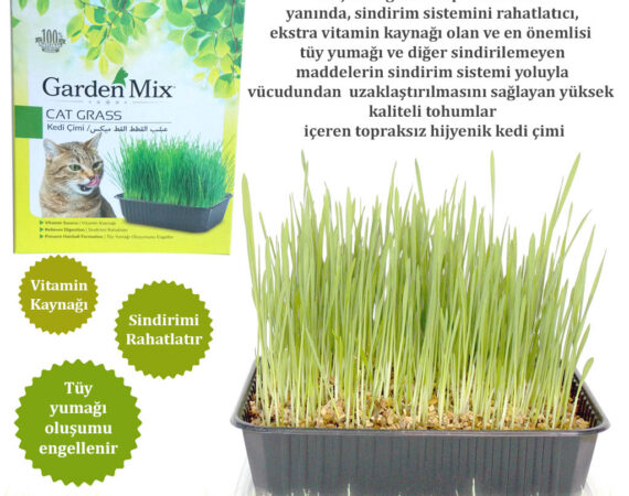 Gardenmix Kedi Çimi - GARDEN MIX -