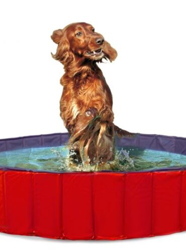 Karlıe Köpek Havuzu 160cm Çap Mavi Kırmızı - KARLIE -