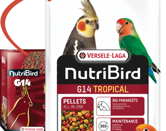 Versele Laga Nutrıbırd G14 Tropıcal Paraket Pelet Yem 1kg - VERSELE-LAGA -