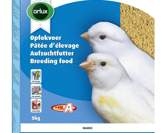 Versele Laga Orlux Bıanco Kanarya Kuru Mama 5kg - VERSELE-LAGA -