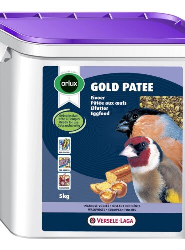 Versele Laga Orlux Gold Patee European Fınches Nemli Mama 5kg - VERSELE-LAGA -