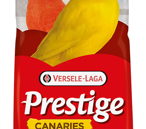 Versele Laga Prestıge Kanarya Yemi 22kg - VERSELE-LAGA -