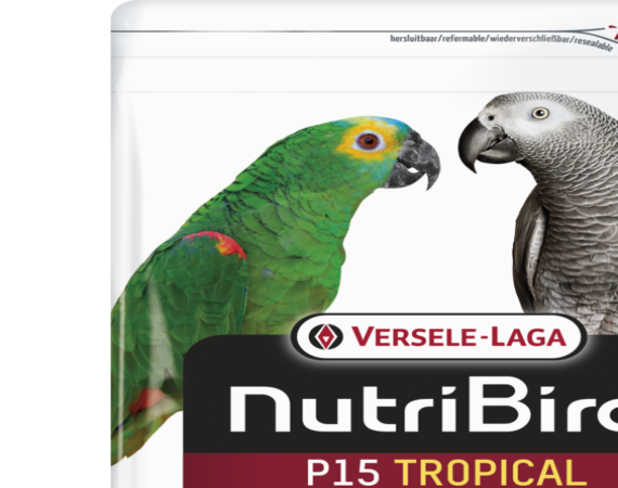 Versele Laga Nutrıbırd P15 Tropıcal Papağan Pelet Yem 10kg - VERSELE-LAGA -