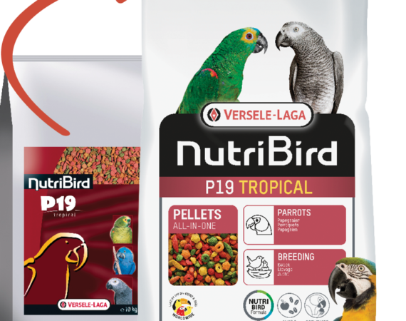 Versele Laga Nutrıbırd P19 Tropıcal Papağan Pelet Yem 10kg - VERSELE-LAGA -