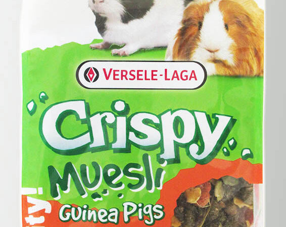 Versele Laga Crıspy Mueslı Guınea Pıg 1 Kg Yem - VERSELE-LAGA -
