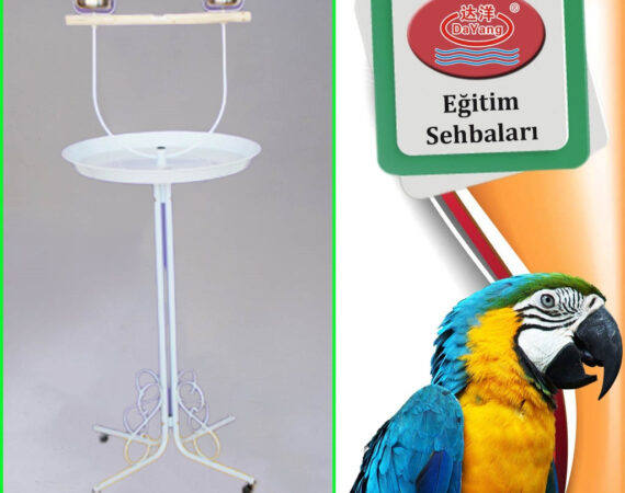 Dayang Papağan Eğitim Sehbası 70x145cm Beyaz - DAYANG -